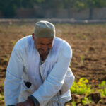 MED-LINKS EU Project, farmer in the field